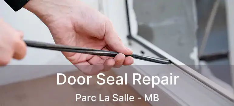  Door Seal Repair Parc La Salle - MB