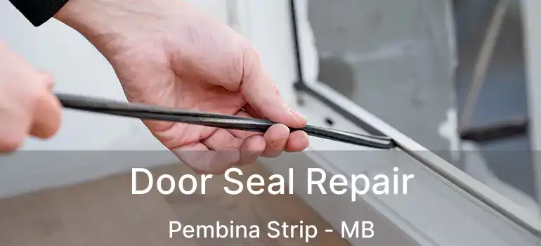  Door Seal Repair Pembina Strip - MB