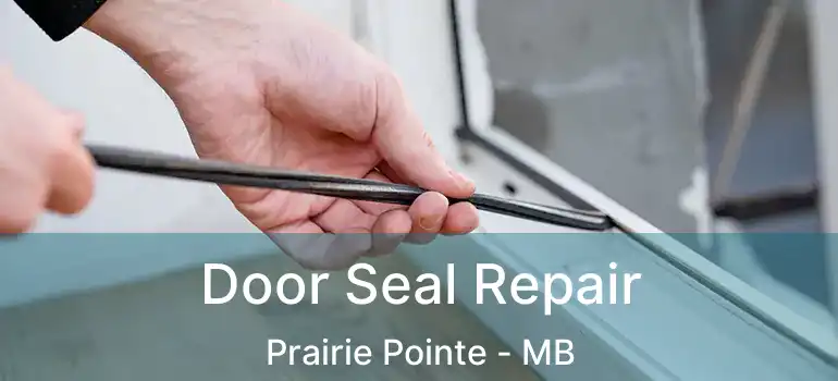  Door Seal Repair Prairie Pointe - MB