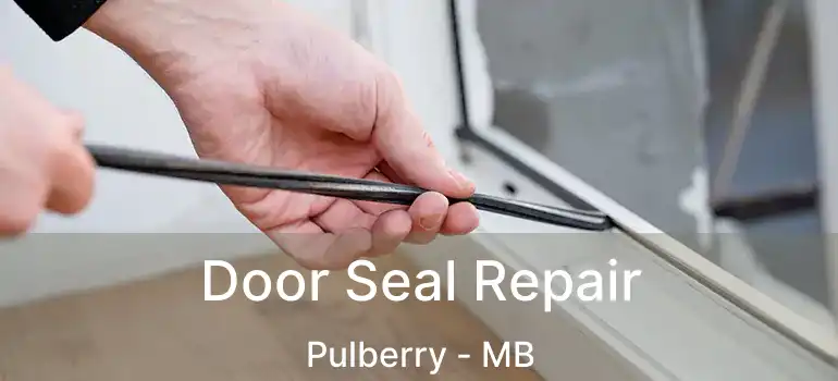 Door Seal Repair Pulberry - MB