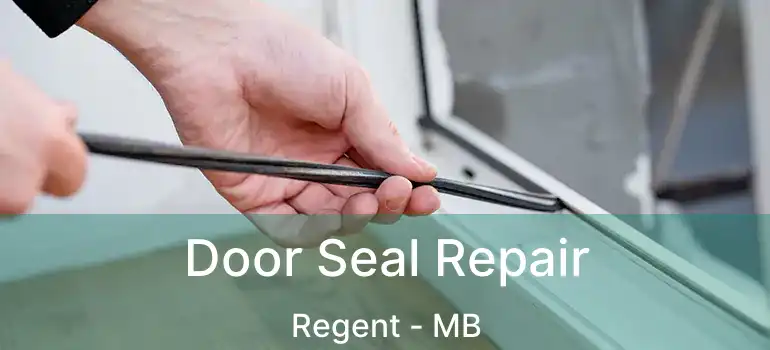  Door Seal Repair Regent - MB