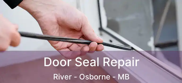  Door Seal Repair River - Osborne - MB
