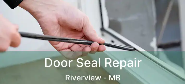  Door Seal Repair Riverview - MB