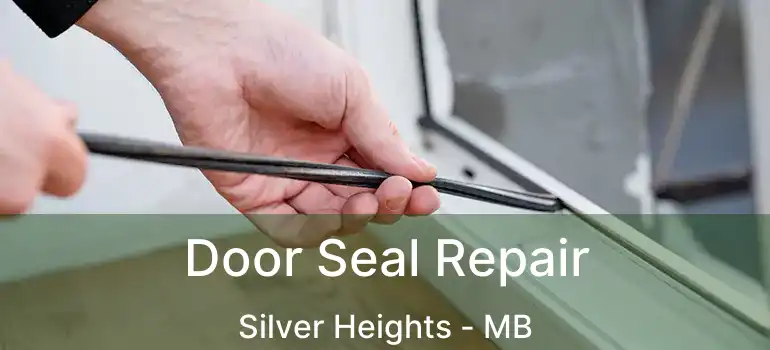  Door Seal Repair Silver Heights - MB