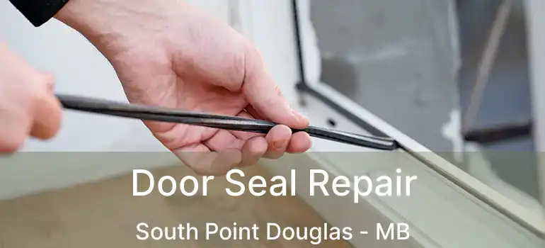  Door Seal Repair South Point Douglas - MB