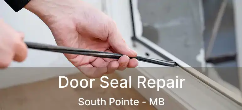  Door Seal Repair South Pointe - MB