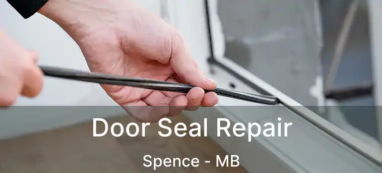  Door Seal Repair Spence - MB