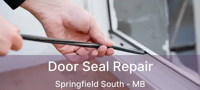  Door Seal Repair Springfield South - MB