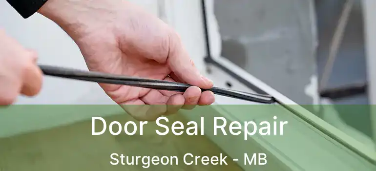  Door Seal Repair Sturgeon Creek - MB