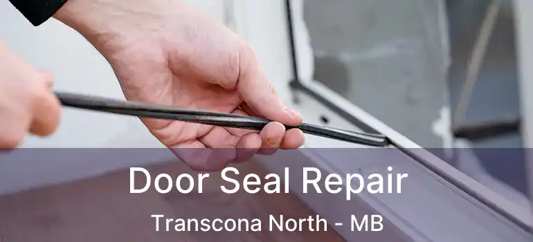  Door Seal Repair Transcona North - MB