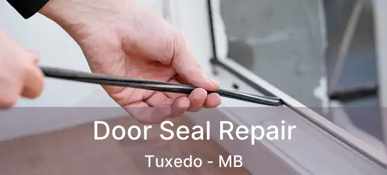  Door Seal Repair Tuxedo - MB