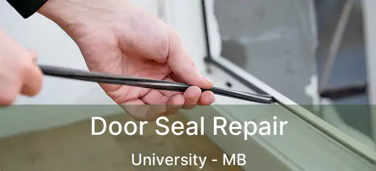  Door Seal Repair University - MB
