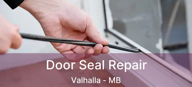  Door Seal Repair Valhalla - MB