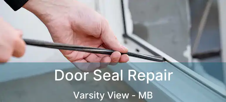  Door Seal Repair Varsity View - MB