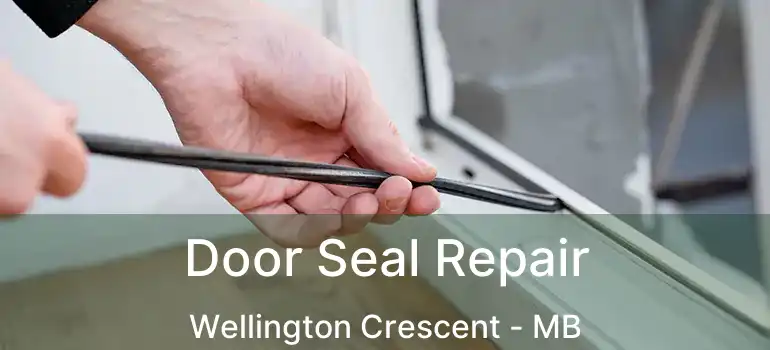  Door Seal Repair Wellington Crescent - MB