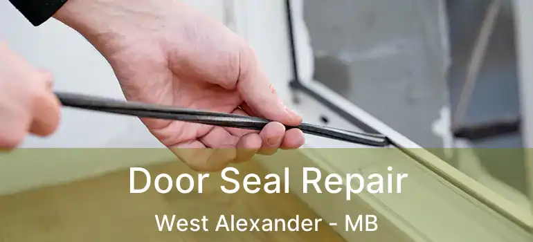  Door Seal Repair West Alexander - MB