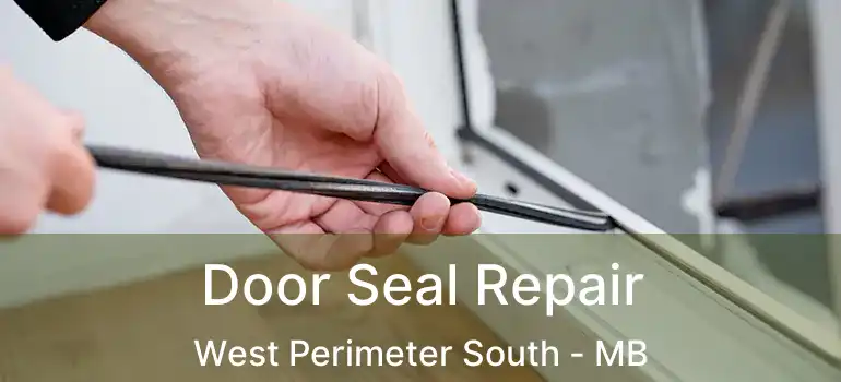  Door Seal Repair West Perimeter South - MB