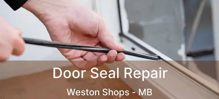  Door Seal Repair Weston Shops - MB