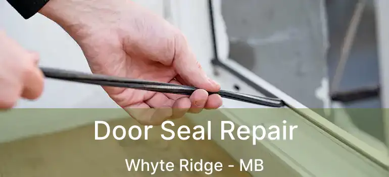  Door Seal Repair Whyte Ridge - MB