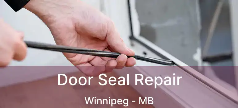  Door Seal Repair Winnipeg - MB
