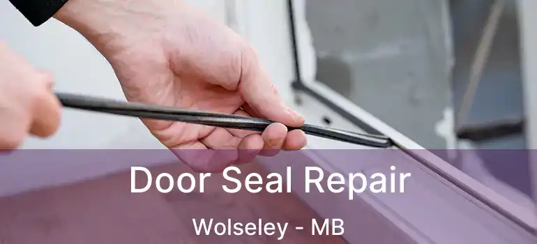  Door Seal Repair Wolseley - MB