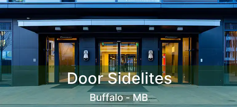  Door Sidelites Buffalo - MB