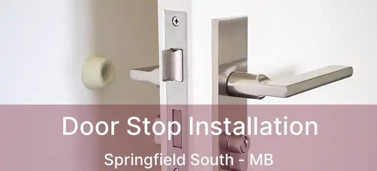  Door Stop Installation Springfield South - MB