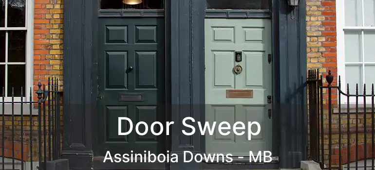  Door Sweep Assiniboia Downs - MB