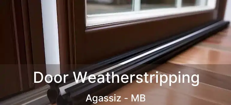  Door Weatherstripping Agassiz - MB