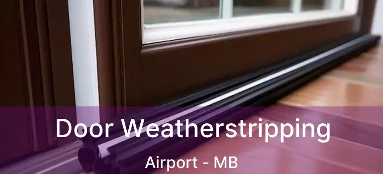  Door Weatherstripping Airport - MB