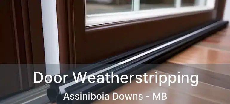  Door Weatherstripping Assiniboia Downs - MB