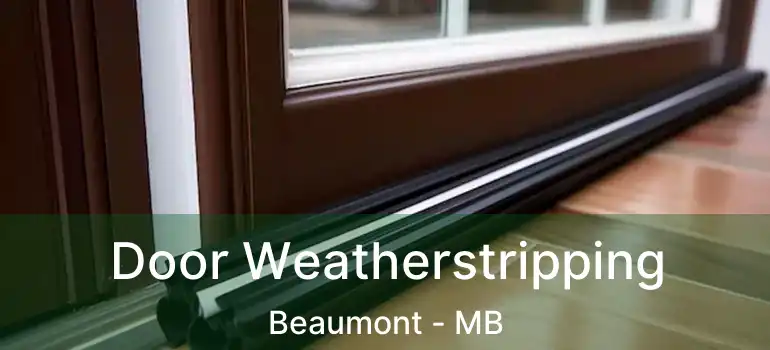  Door Weatherstripping Beaumont - MB