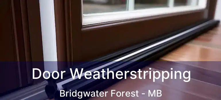  Door Weatherstripping Bridgwater Forest - MB