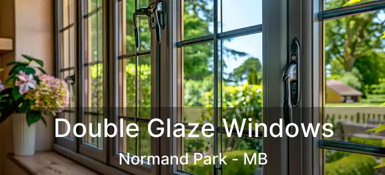  Double Glaze Windows Normand Park - MB