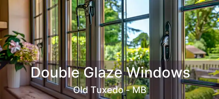  Double Glaze Windows Old Tuxedo - MB