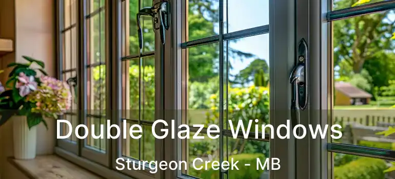  Double Glaze Windows Sturgeon Creek - MB