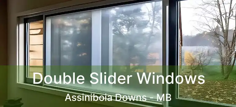  Double Slider Windows Assiniboia Downs - MB