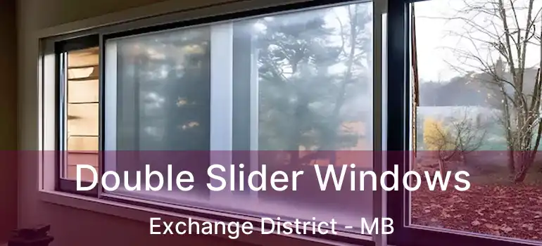  Double Slider Windows Exchange District - MB