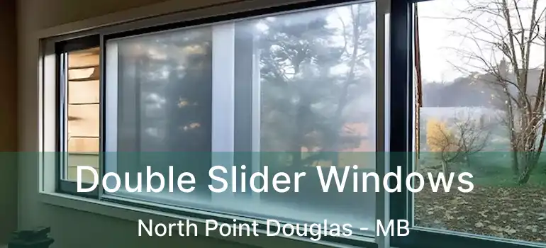  Double Slider Windows North Point Douglas - MB