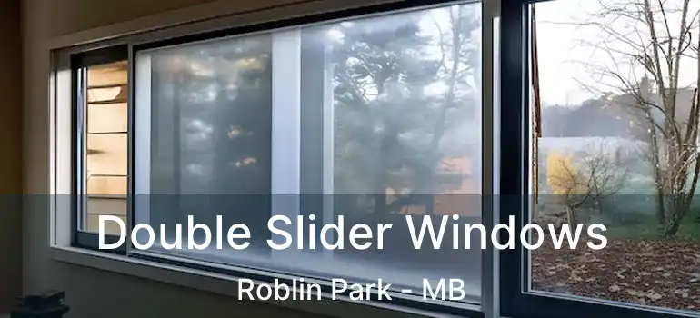  Double Slider Windows Roblin Park - MB
