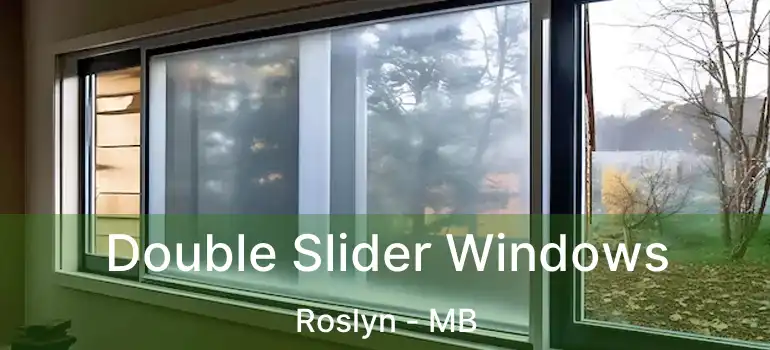 Double Slider Windows Roslyn - MB