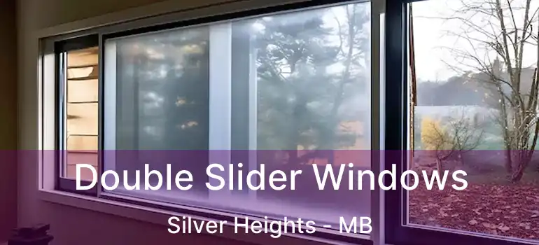 Double Slider Windows Silver Heights - MB