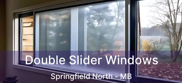  Double Slider Windows Springfield North - MB