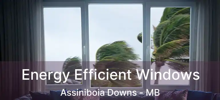  Energy Efficient Windows Assiniboia Downs - MB