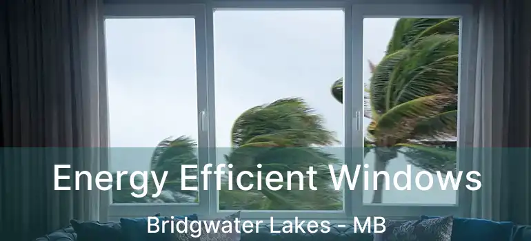  Energy Efficient Windows Bridgwater Lakes - MB