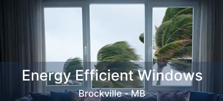  Energy Efficient Windows Brockville - MB