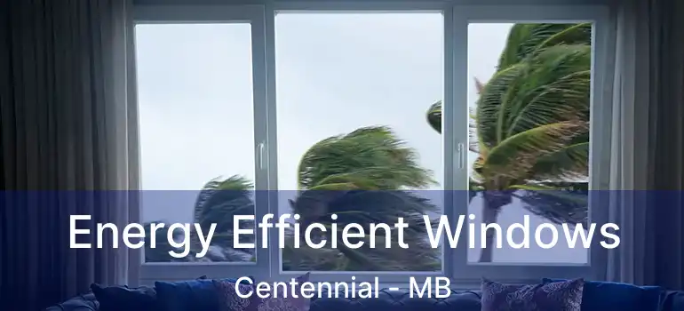  Energy Efficient Windows Centennial - MB
