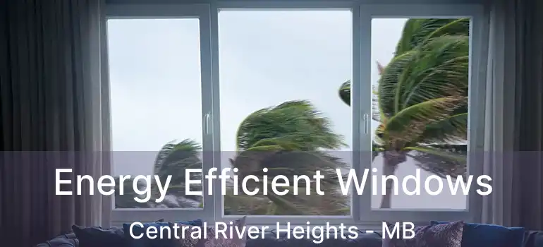  Energy Efficient Windows Central River Heights - MB