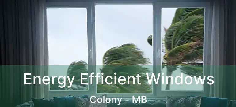  Energy Efficient Windows Colony - MB