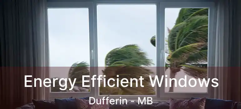  Energy Efficient Windows Dufferin - MB